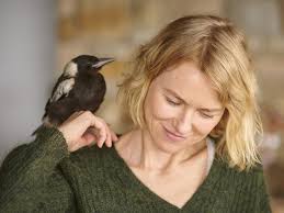By samantha bloom, cameron bloom & bradley trevor greive. Penguin Bloom Sydney Couple Whose Story Inspired A Hollywood Film Daily Telegraph