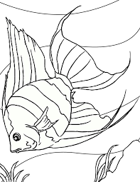 This compilation of over 200 free, printable, summer coloring pages will keep your kids happy and out of trouble during the heat of summer. Free Printable Fish Coloring Pages For Kids Fish Coloring Page Rainbow Fish Coloring Page Fish Printables