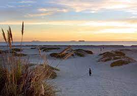 Coronado beach fire pits san diego. Guide To Coronado Beaches Official San Diego Ca Travel Resource