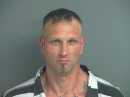 MCDANIEL, SHANNON RAY