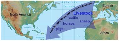 The columbian exchange view a visualization of the columbian exchange. Use The Diagram Below To Answer The Following Question The Columbian Exchange Included The Transfer Brainly Com