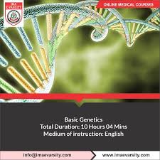Genetic Counseling Courses Online Genetic Counseling Counseling Genetics