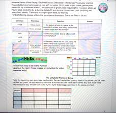 This video will show how to set up and solve everyone's favorite 16 square punnett square. Solved 000 Amoeba Sisters Video Recap Dihybrid Crosses Chegg Com