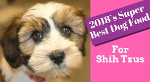 What are the best dog foods for shih tzus? 2020 S Super Best Dog Food For Shih Tzus Never Let Your Dog Suffer