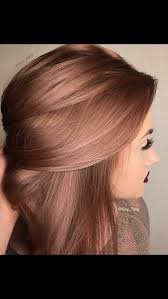 Rose Brown Hair Styles Hair Color Gorgeous Hair