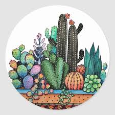 Pin On Cactus Party