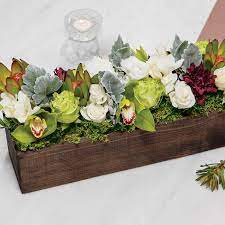 We did not find results for: Bianca Grace Olive Cocoa