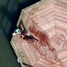 However, there are several creepy things that you may find in different parts of the world. Creepy Images On Google Earth Coordinates