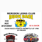 Duck Race and Car Show