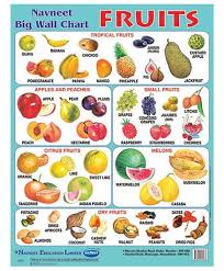 navneet big wall chart of fruits english