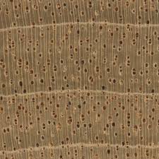 When treating endgrain, i just brush on a couple or three coats, until it stops soaking in, then its good to go. Mahogany Mixups The Lowdown The Wood Database