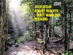 Ayer hitam forest reserve is a 1248 hectares forest reserve managed by universiti putra malaysia located in puchong, petaling, selangor, malaysia. Other Expats On Twitter Who S Up For A Hike Ayer Hitam Forest Reserve On Saturday 19 May We Start At 8 30am Bring Water Wear Comfy Shoes And Be Ready To Sweat A