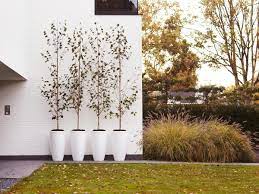 When the temperatures begin to fall in the early winter many gardeners. 10 Best Planters The Independent The Independent