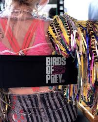 Harley Quinn Birds Of Prey Full Movie 123movies Pin On Full Hd Movies 2020