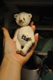 Chamomile in a pocket by Daria Serebrennikova