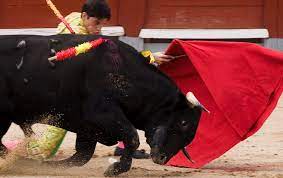 スペインで約３０年ぶりに闘牛士が牛に突かれて死亡 - 2016年7月10日, Sputnik 日本