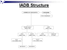 Inter American Defense Board Budget Project To The Year Ppt