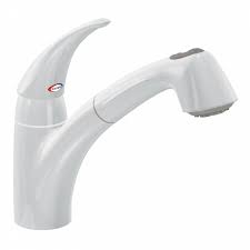moen extensa single control kitchen