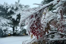 3,600,063 likes · 52 talking about this. Oregon Winter Storm Tracker See How Much Snow You Could Get In Your Area With Our New Snowfall Prediction Map Oregonlive Com