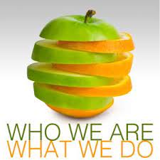 Christ the King School Identity: BusinessHAB.com