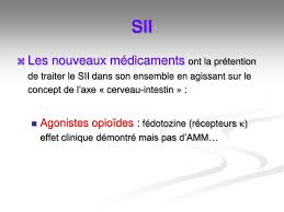 Il agit habituellement 6 à 8 heures après la prise. Ppt Troubles Fonctionnels Intestinaux Tfi Powerpoint Presentation Free Download Id 866474