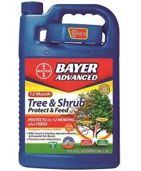 8 bayer advanced home pest control gal. Bayer Tree Shrub Fertilizer Cromalinsupport