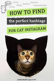 Not sure which hashtags to use for cat? 7 Cat Hashtags Ideas Hashtags Cats Instagram Hashtags
