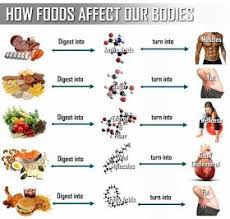 the healthy boy junk food vs healthy food health fitness