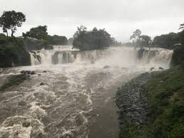 黄瀬川流域 長野県 駿河湾 沼津市 長泉町 裾野市 函南町 伊豆の国市 三島市 清水町 狩野川 富士市 御殿場市 東海道新幹線 鉄道（jr) 鉄道（私鉄） 高速道路 国道 東駿河湾環状道路 市町境界 流域界 河川（国管理） 河川 黄瀬川 大場川 来光川 柿沢川 黄瀬川橋. æœ¨ç€¬å· Japaneseclass Jp