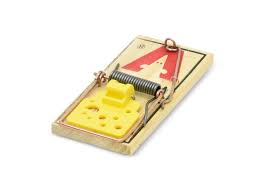 The press 'n set traps require only 1 touch to set as an added benefit. Victor Easy Set Mouse Trap Single Unit