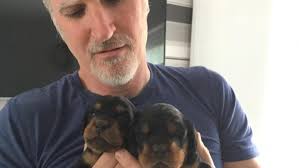 Fundraiser by Sara Diss : In Memory of Mr Bosty : David Murray