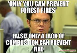 39 Only You Can Prevent Forest Fires 39 False Only A Lack Of Combustion Can Prevent Fire Meme Dwight Schrute Forest Fire Prevention Dwight Schrute