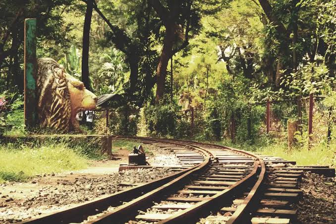 Sanjay Gandhi National Park Mumbai, Tickets, entry fees, Timings