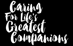 Quality care for your pet. Our Hospital Calgary North Animal Hospital 24 Hour Emergency Service