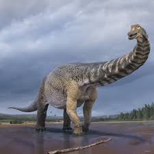 Dinosour bones 2d / dinosaur bones are collectibles that can be found all across the map in red dead redemption 2. New Species Of Dinosaur Up To 30m Long Confirmed As Largest Ever Found In Australia Queensland The Guardian