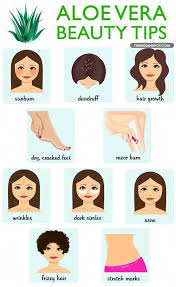 Outstanding Beauty Detail Are Readily Available On Our Site Read More And You Will Not Be Sor Beauty Tips Using Aloe Vera Natural Beauty Tips Overnight Beauty