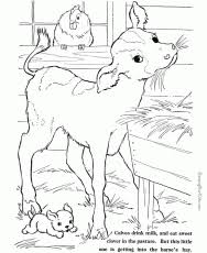 Flower, advanced animal, detailed patterns. Coloring Pages Animals Hard Coloring Opages Coloring Pages For Coloring Home