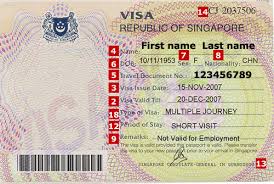 The current biometric passports contain. Singapore Visa Application Requirements Visahq