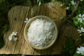 Image result for Synaptolepis