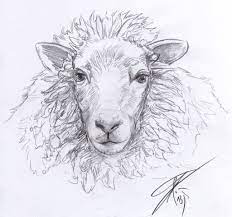 Sheep Sketch By Atharidrawer On Deviantart Sheep Paintings Sheep Art Sheep Drawing