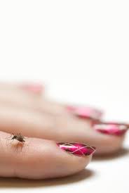 Mosquito joe of the greater buffalo region is ready to make outside fun again for you with our outdoor pest control solutions! Swatting At Mosquitoes May Help You Avoid Bites Even If You Miss The New York Times