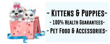 With 25 essential vitamins and minerals in every bag, this dry cat food gives her the nutrition she needs to help her live a long, happy life by your side. Online Pet Store Dubai Uae Buy Kitten Dog And Birds Peshi Pets