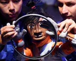 Nora Cancino's Instagram, Twitter & Facebook