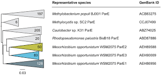 Alternatively, of course, you could well get a code for a different amino acid or even a stop codon. Uncovering The Basis Of Protein Protein Interaction Specificity With A Combinatorially Complete Library Elife
