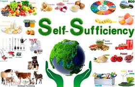 نتیجه جستجوی لغت [sufficiency] در گوگل