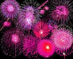 Earn A Free Trip To Your Favorite Amusement Park This July With Pink Papaya Each And Every Consultant Who Recr 4th Of July Fireworks Fireworks Best Fireworks
