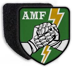 Patch AMF Allied Command Europe Mobile Forces Badge ACE Campbell Barracks  USA UA Army #23055 : Amazon.com.au: Clothing, Shoes & Accessories