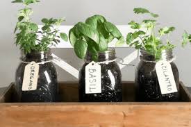 When you grow herbs indoors, you can have your favorite herbs in your kitchen all year long. Diy Indoor Herb Garden How To Make Your Own