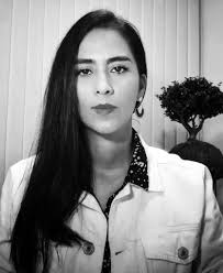 Integrantes del Equipo de Trabajo