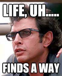 Life Uh Finds A Way Jeff Goldblum Quickmeme